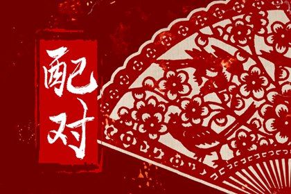 什么样的人更合拍